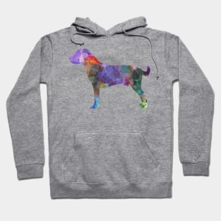 Harrier in watercolor Hoodie